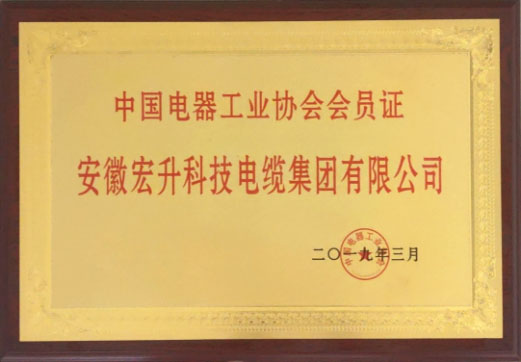 中國(guó)電器工業(yè)協(xié)會(huì)會(huì)員證