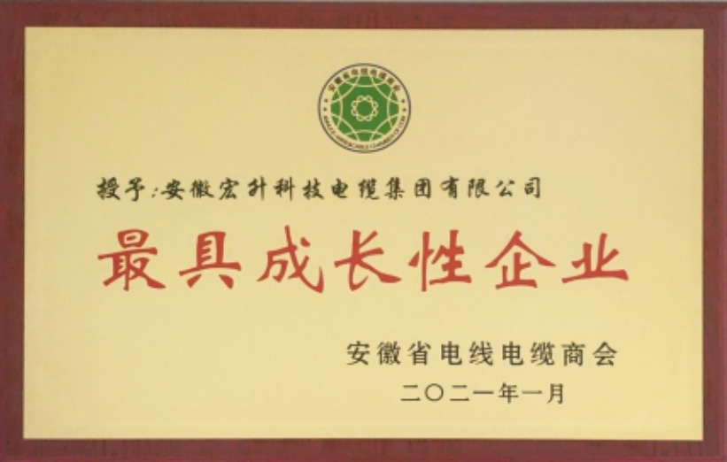 最具成長(zhǎng)性企業(yè)